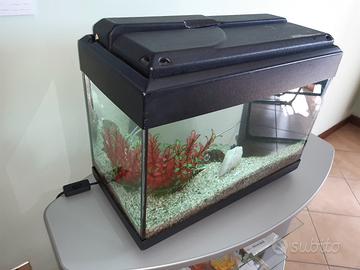 Acquario 50 litri completo di tutto 