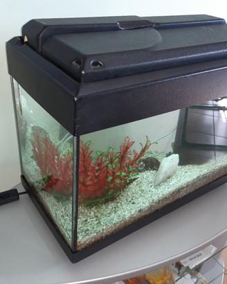 Acquario 50 litri completo di tutto 