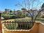 Immagine 15
