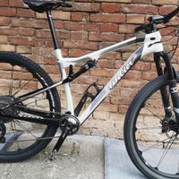 mtb Wilier 110fx 