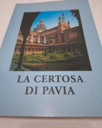 libro la certosa di pavia
