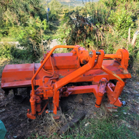Frasa maschio agricola trattore