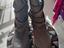 Immagine 1