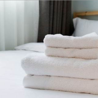 Pulizie b&b a Bologna e Imola