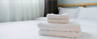 Pulizie b&b a Bologna e Imola