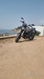 voge acx scrambler 300 2023 