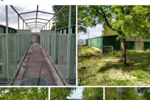 Canile centro cinofilo