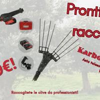 Abbacchiatori raccolta olive Zanon