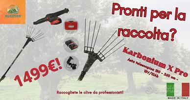 Abbacchiatori raccolta olive Zanon