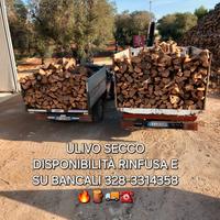 LEGNA DA ARDERE ULIVO SECCA 