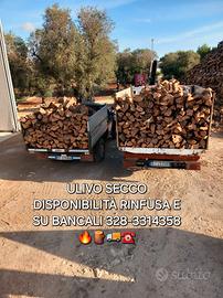 LEGNA DA ARDERE ULIVO SECCA 
