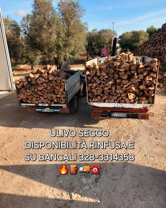 LEGNA DA ARDERE ULIVO SECCA 