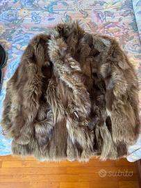 pelliccia lapin