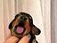 Immagine 25