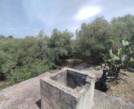 Rif.CS19| terreno agricolo catania