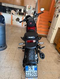 Benelli leoncino 500 trail