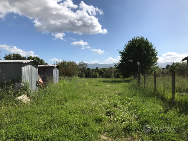 Terreno con casetta di legno adibita ad alloggio