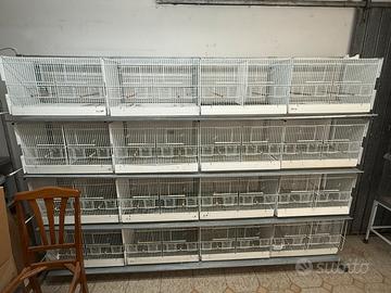 Batteria domus molinare da 32 gabbie sistema carta