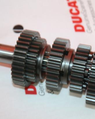 Albero secondario per Ducati Monster / SS