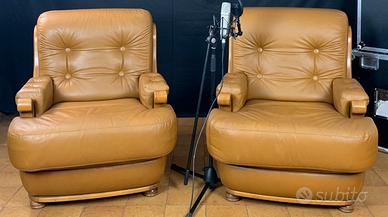 Poltrone di pelle