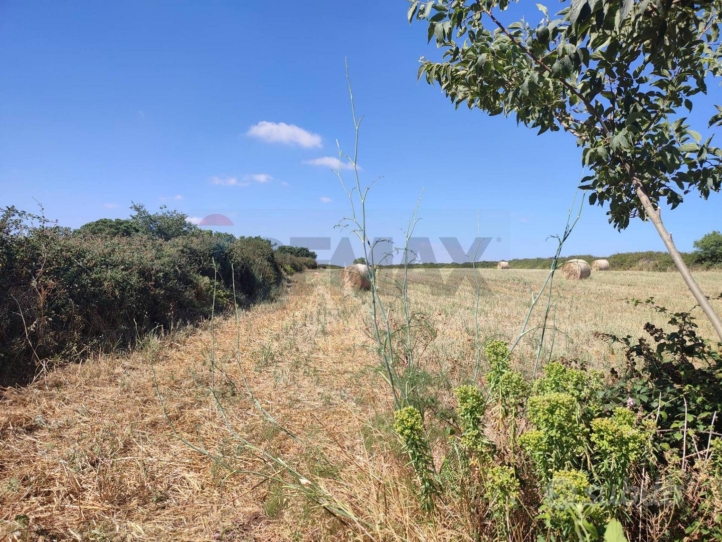 Terreno - Ragusa - Altro