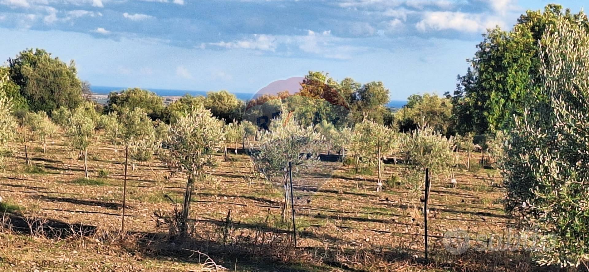 Terreno - Rosolini - Altro
