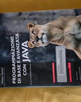 PROGRAMMAZIONE DI BASE EAVANZATA JAVA PEARSON