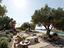 Immagine 23