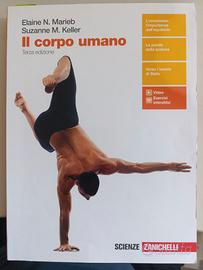 TRAINING 4 LIFE CORPO MOVIMENTO  BENESSERE E SPORT