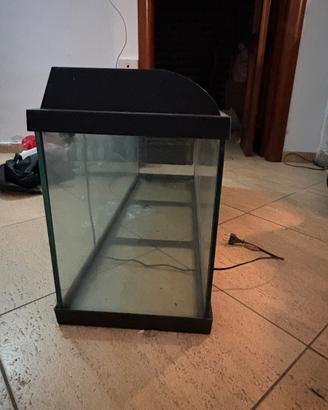 Acquario