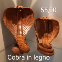serpenti cobra