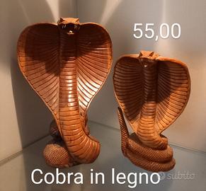 serpenti cobra