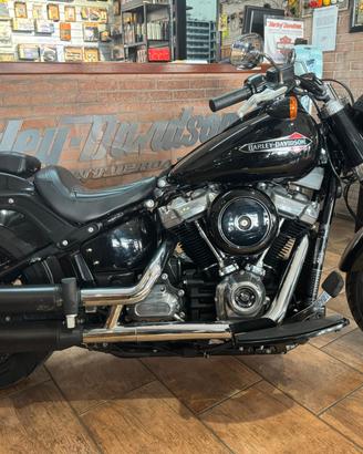 Harley-davidson Softail Slim motore 107