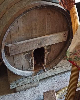 botte vino
