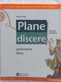 Plane discere. Grammatica latina