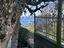 Immagine 25