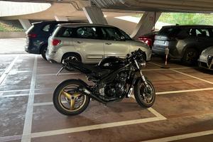 Triumph Speed triple 955i