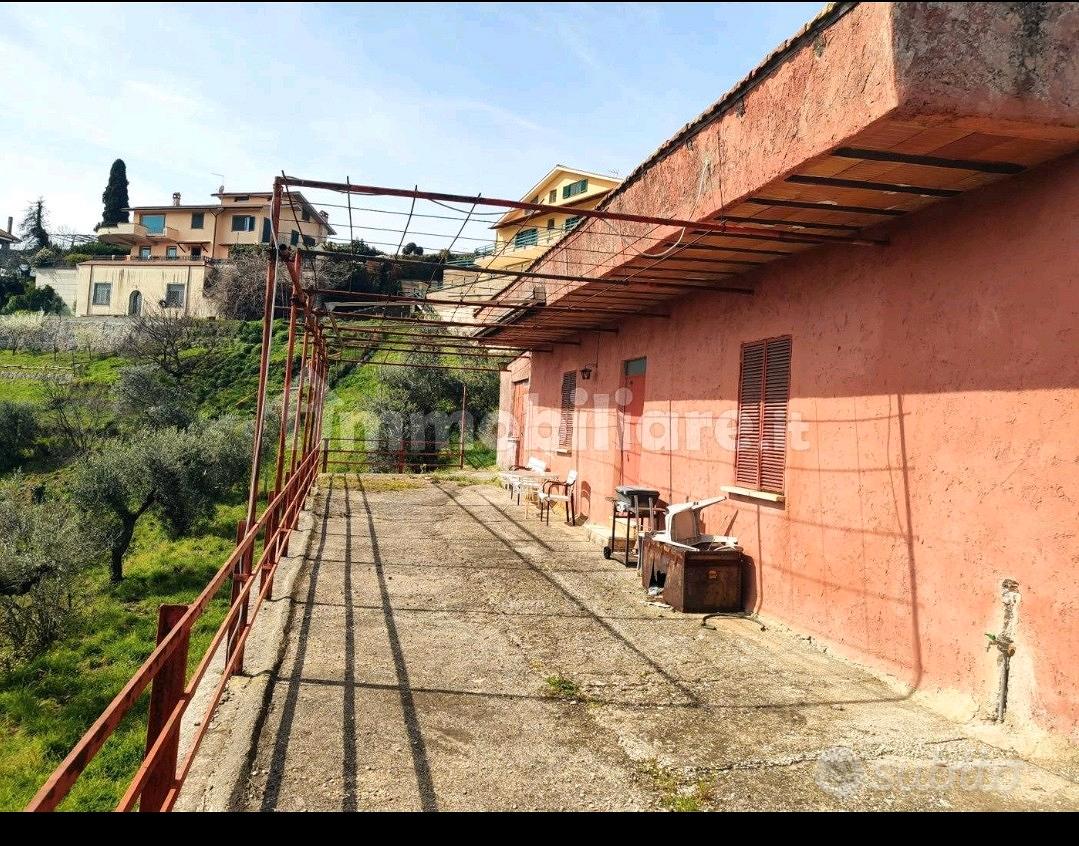 Terreno con uliveto e fabbricato autorizzato - Vista 4