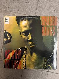 Vinile shabba ranks