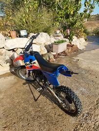 beta mx -12