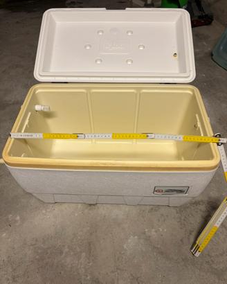 Contenitore termico igloo