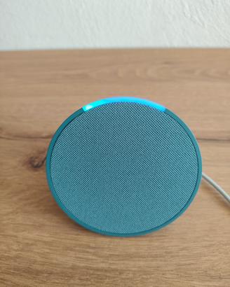 Amazon Alexa Echo pop colore turchese