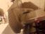 Immagine 1