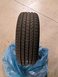 gomme estive barum