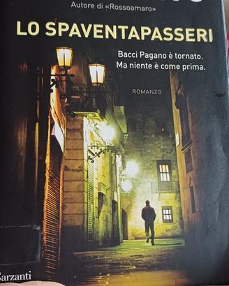 libro Lo spaventapasseri 