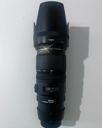 Sigma 70-200 2.8 APO attacco Nikon