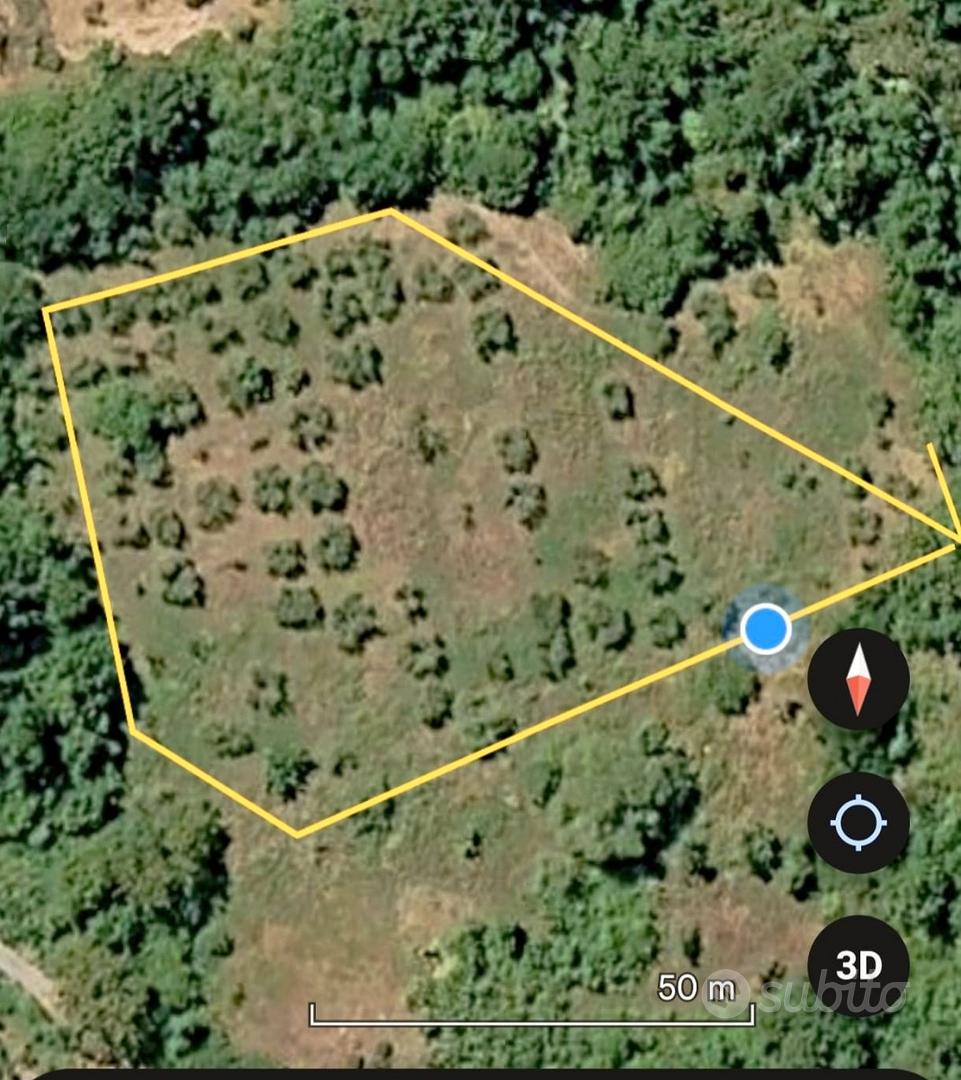 Terreno Agricolo con Uliveto -Comune Isernia - Vista 2