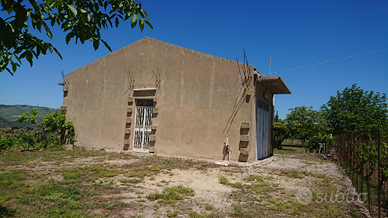 Terreno agricolo