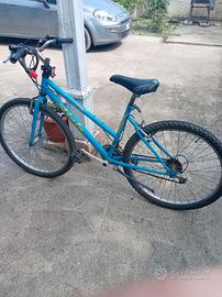 bicletta