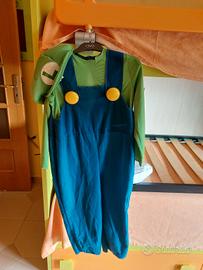 vestito carnevale Luigi Bros